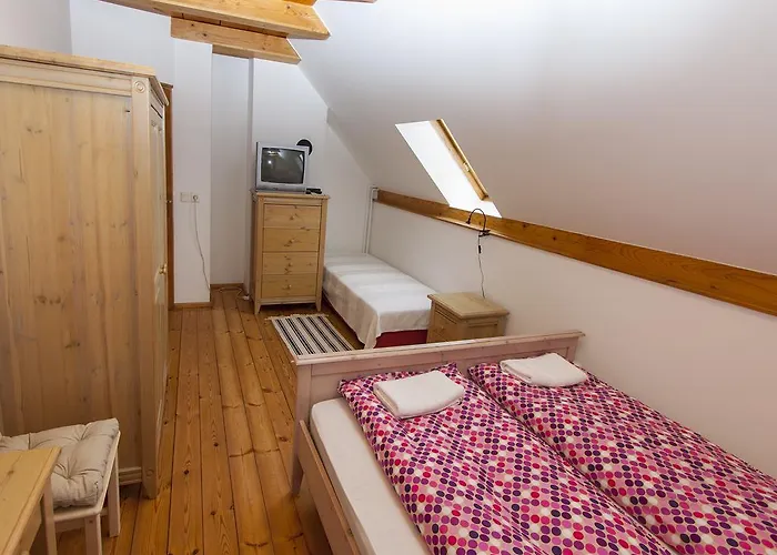 Amadeus Vendeghaz Guest house 3*