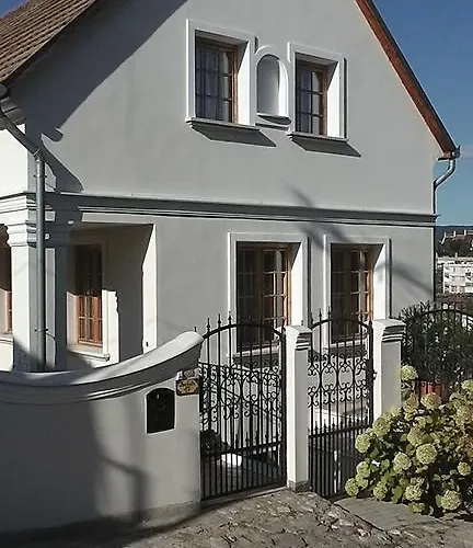 Guest house Amadeus Vendeghaz 3*