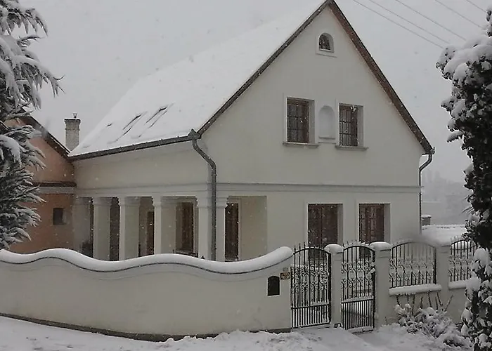 Amadeus Vendeghaz Guest house 3*